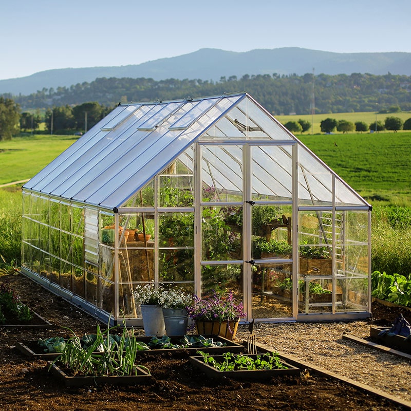 10' x 16' Palram Canopia Balance Silver Greenhouse (3.04m x 4.84m) online kaufen