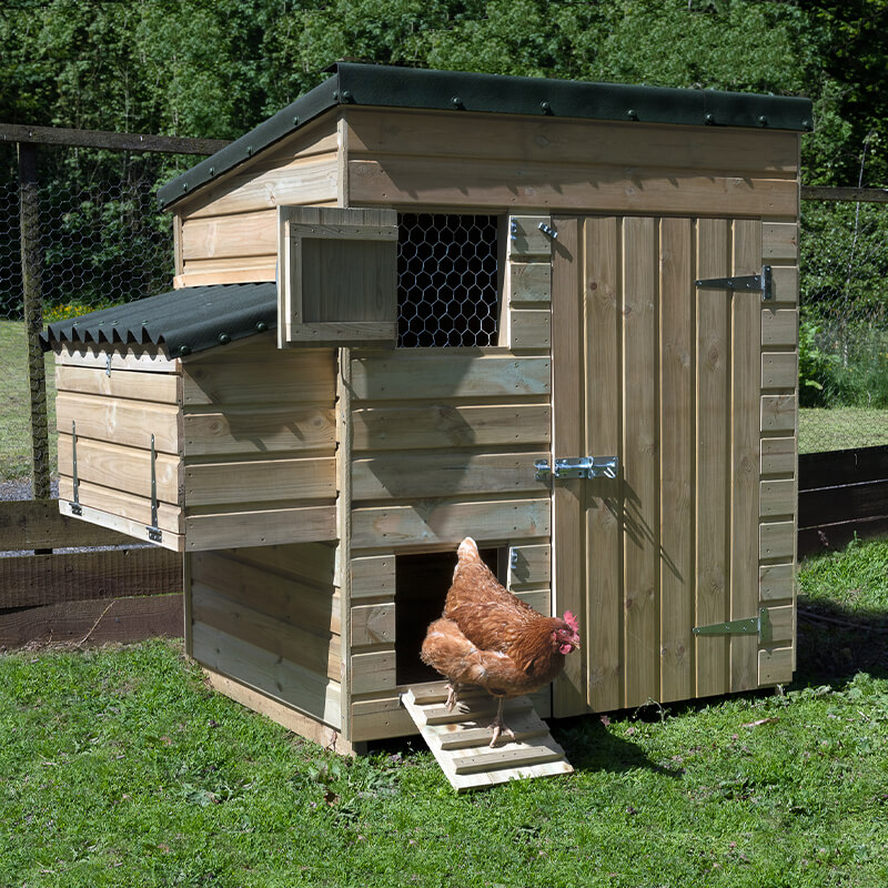 5'4 x 3'8 Forest Hedgerow Wooden Large Hen House (1.63m x 1.12m) online kaufen