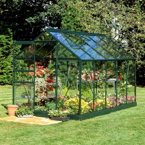 6'4 x 10'6 Green Frame Halls Popular 106 Greenhouse (1.93 x 3.19m) online kaufen