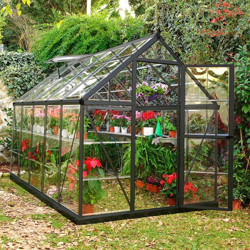 6â x 10â Palram Canopia Harmony Walk In Grey Polycarbonate Greenhouse (1.85m x 3.06m) online kaufen
