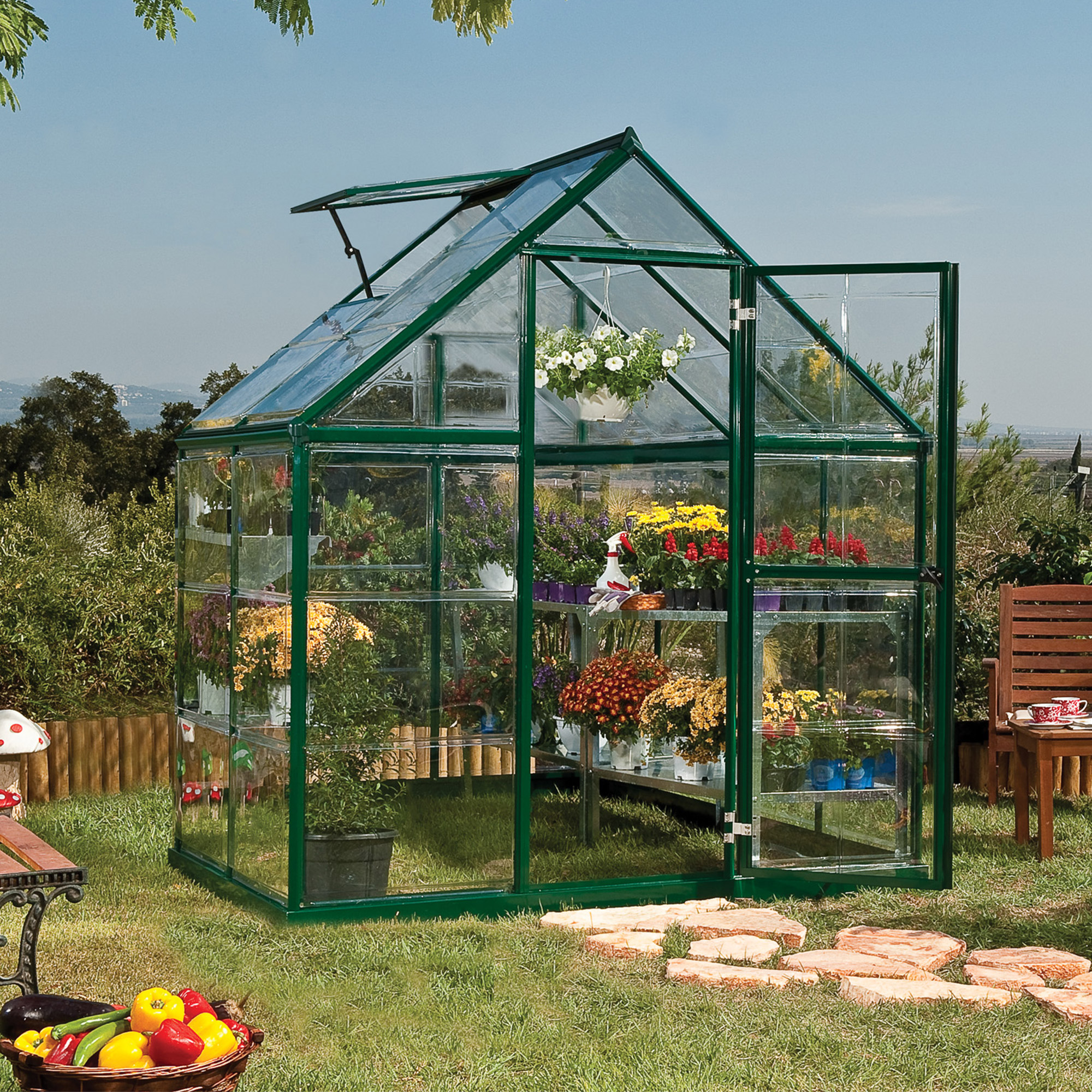 6â x 4â Palram Canopia Harmony Green Polycarbonate Greenhouse (1.85m x 1.26m) online kaufen