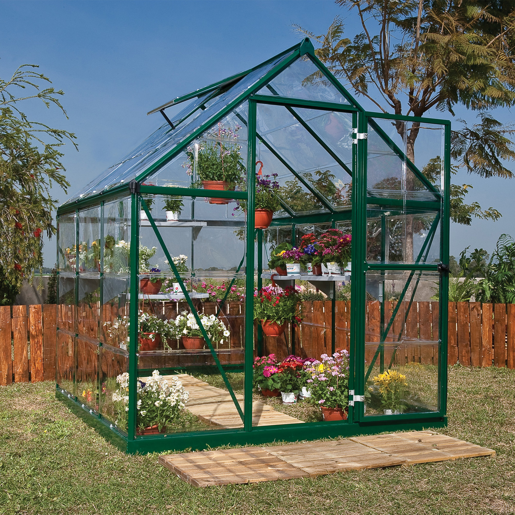 6â x 6â Palram Canopia Harmony Green Polycarbonate Greenhouse (1.85m x 1.86m) online kaufen