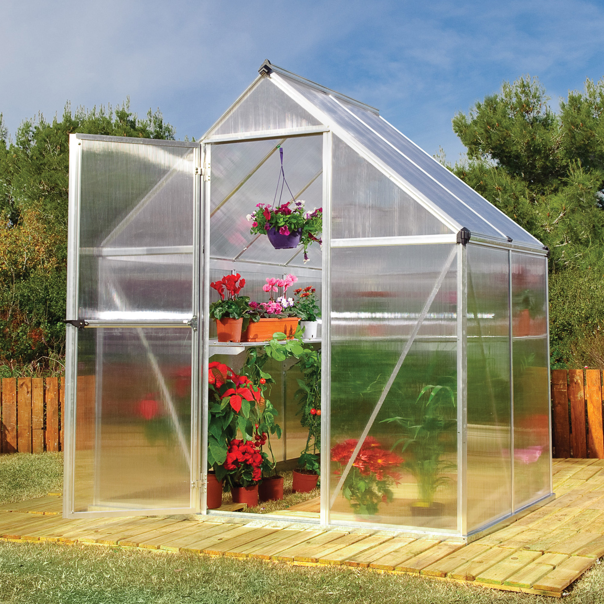 6'x4' Palram Canopia Mythos Small Silver Polycarbonate Greenhouse (1.8x1.2m) online kaufen