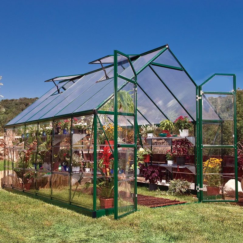 8' x 12' Palram Canopia Balance Green Greenhouse (3.67m x 2.44m) online kaufen