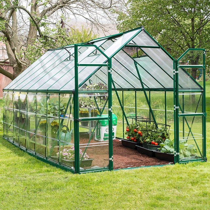 8' x 16' Palram Canopia Balance Green Greenhouse (4.87m x 2.44m) online kaufen