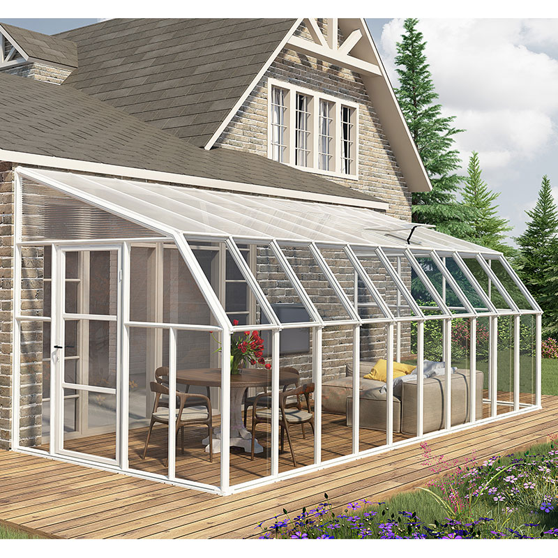 8' x 20' Palram Canopia Rion Clear Sun Room (2.57m x 6.32m) online kaufen