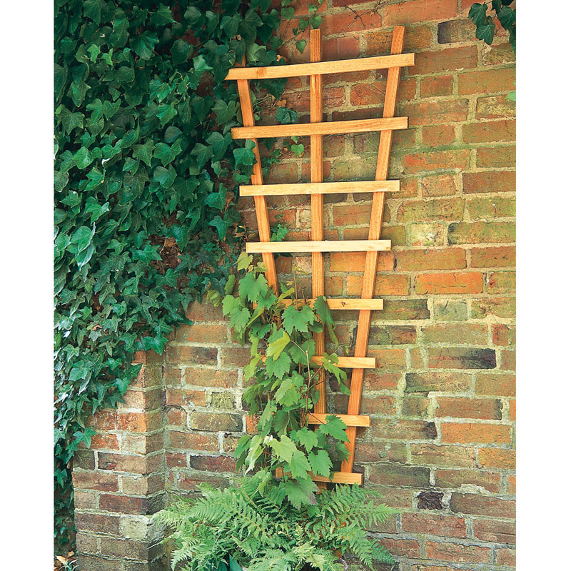 Forest 2' x 6' Decorative Fan Wall Trellis (0.66m x 1.83m) online kaufen