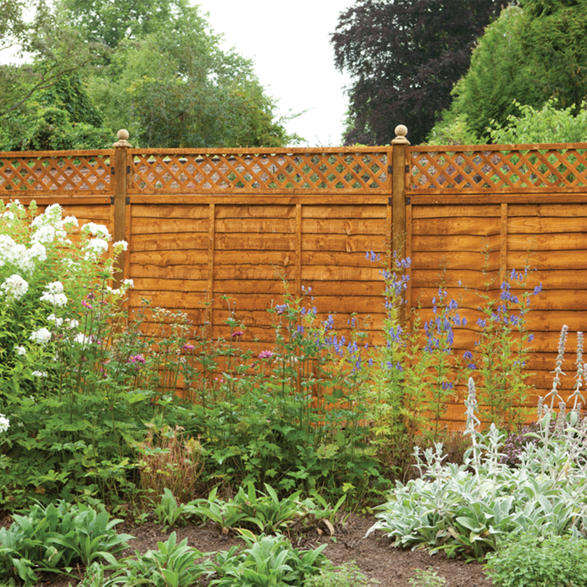 Forest 6' x 1' Diamond Lattice Trellis Fence Topper (1.83m x 0.3m) online kaufen