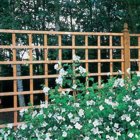 Forest 6' x 1' Heavy Duty Square Garden Trellis Fence Panel (1.83m x 0.3m) online kaufen