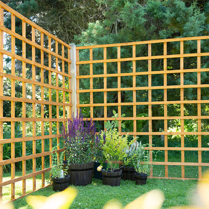 Forest 6' x 6' Heavy Duty Square Garden Trellis Fence Panel (1.83m x 1.83m) online kaufen