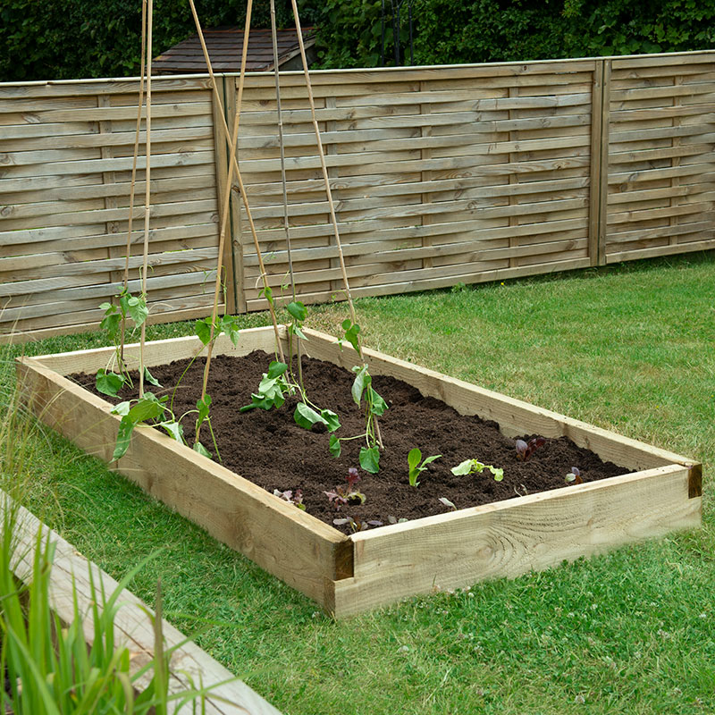 Forest Caledonian Large Raised Bed 3' x 6' (0.9m x 1.8m) online kaufen