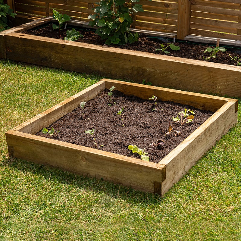 Forest Caledonian Small Raised Bed 3' x 3' (0.9m x 0.9m) online kaufen