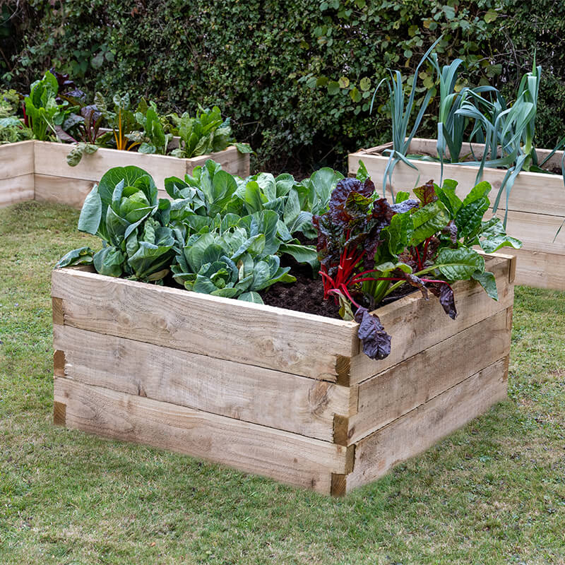 Forest Caledonian Square Raised Bed 3'x3' (0.9mx0.9m) online kaufen