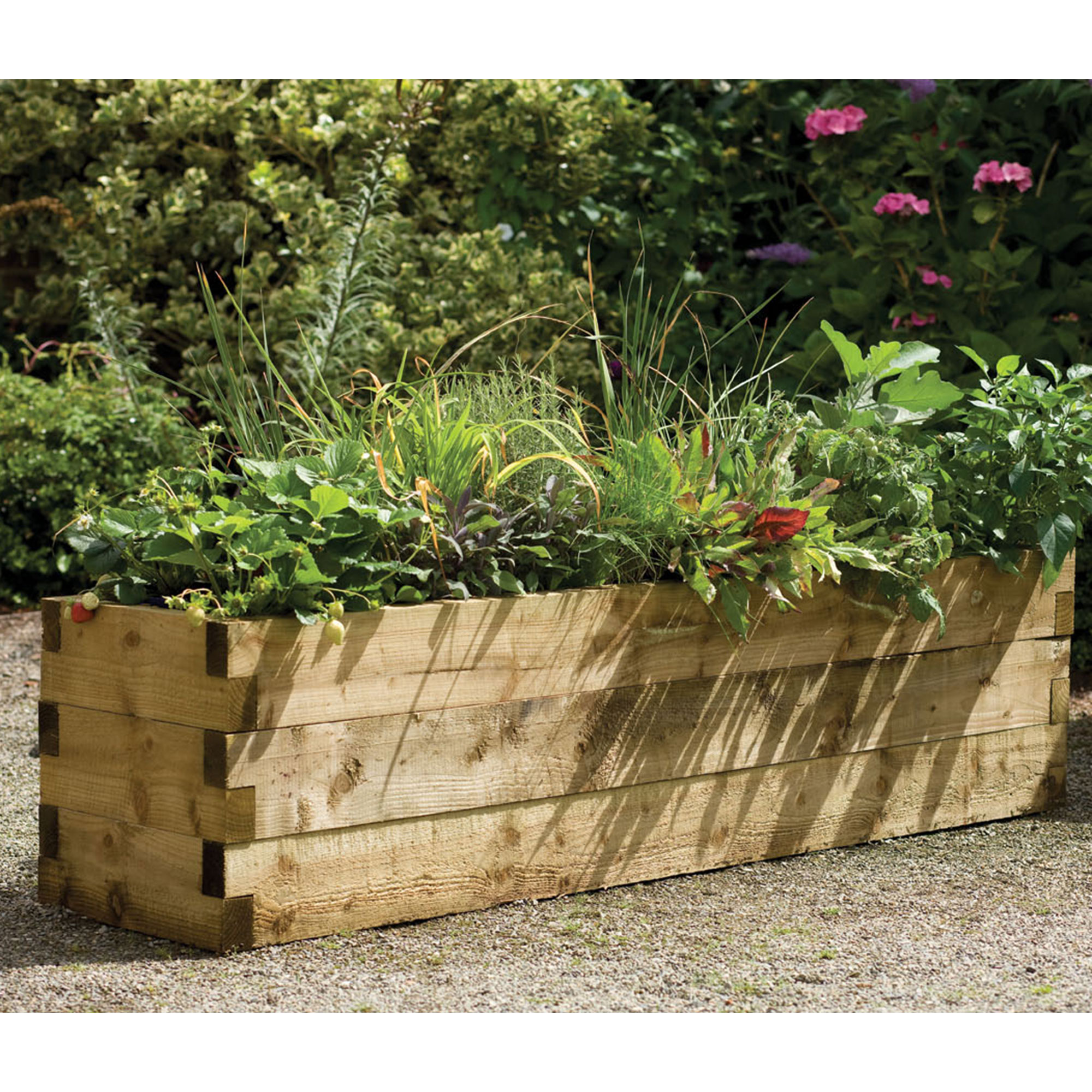 Forest Caledonian Trough Raised Bed 5'11x1'6 (1.8x0.45m) online kaufen