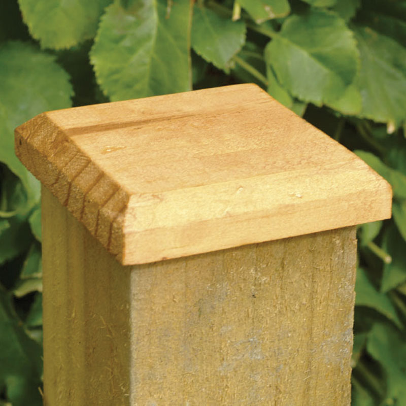 Forest Fence Post Cap 10 x 10cm online kaufen