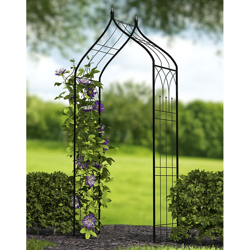 Panacea Ogee Metal Garden Arch 8'6 x 3'9 online kaufen