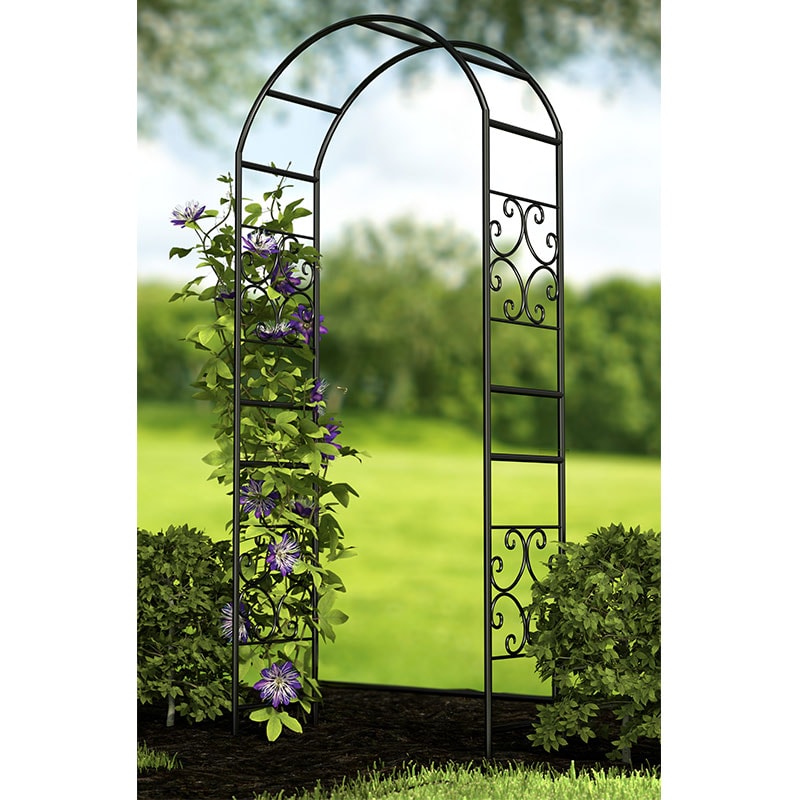 Panacea Scrolls Metal Garden Arch 7'5 x 3'2 online kaufen