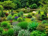 Designing a low-maintenance large garden