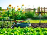What is the best watering system for a garden?